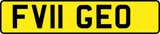 FV11GEO