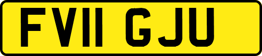 FV11GJU