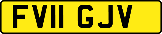 FV11GJV
