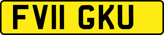 FV11GKU
