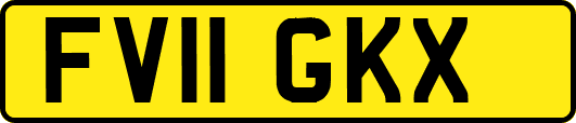 FV11GKX