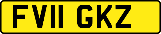 FV11GKZ