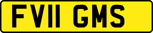 FV11GMS