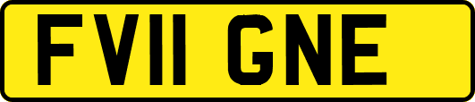 FV11GNE