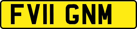 FV11GNM