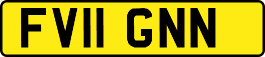 FV11GNN