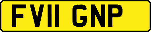 FV11GNP