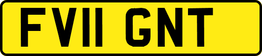 FV11GNT