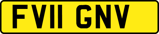 FV11GNV