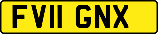FV11GNX