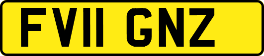 FV11GNZ