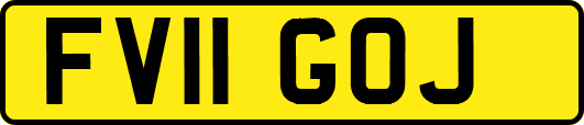 FV11GOJ