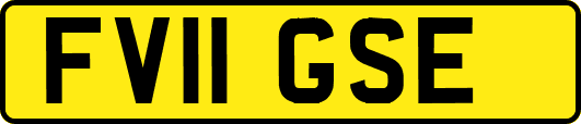 FV11GSE
