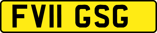 FV11GSG