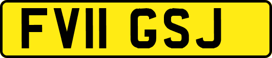 FV11GSJ