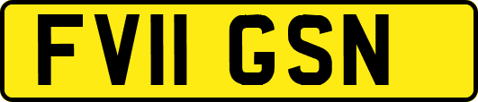 FV11GSN
