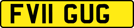 FV11GUG