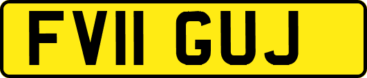 FV11GUJ