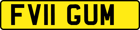FV11GUM
