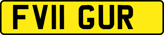 FV11GUR