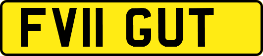 FV11GUT