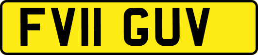 FV11GUV