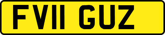 FV11GUZ