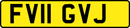 FV11GVJ