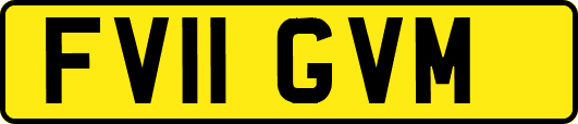 FV11GVM