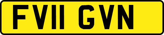 FV11GVN