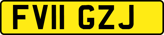 FV11GZJ