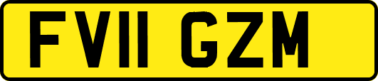 FV11GZM