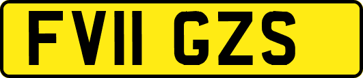 FV11GZS