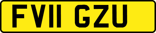 FV11GZU