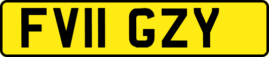 FV11GZY