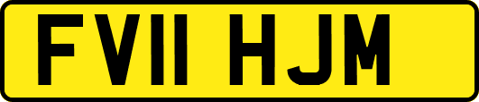FV11HJM