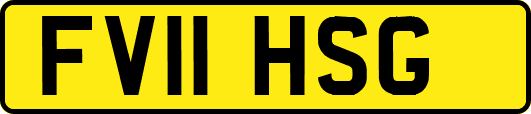 FV11HSG