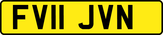 FV11JVN