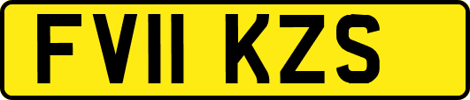 FV11KZS