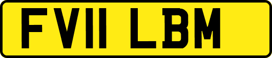 FV11LBM