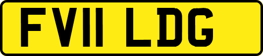 FV11LDG