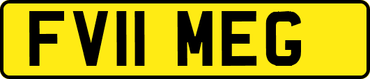 FV11MEG