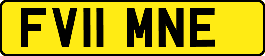 FV11MNE