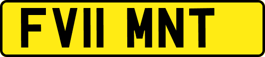 FV11MNT