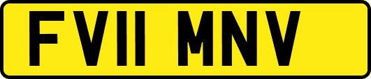 FV11MNV