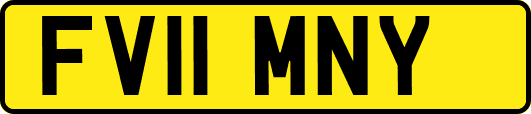 FV11MNY