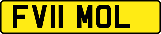 FV11MOL