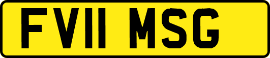 FV11MSG