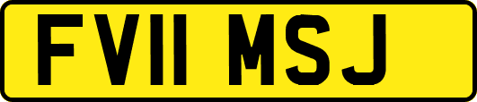 FV11MSJ