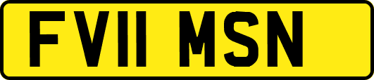 FV11MSN